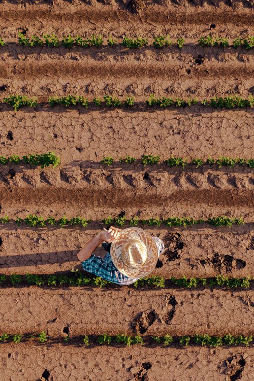 a top view of a farmer working in a farm